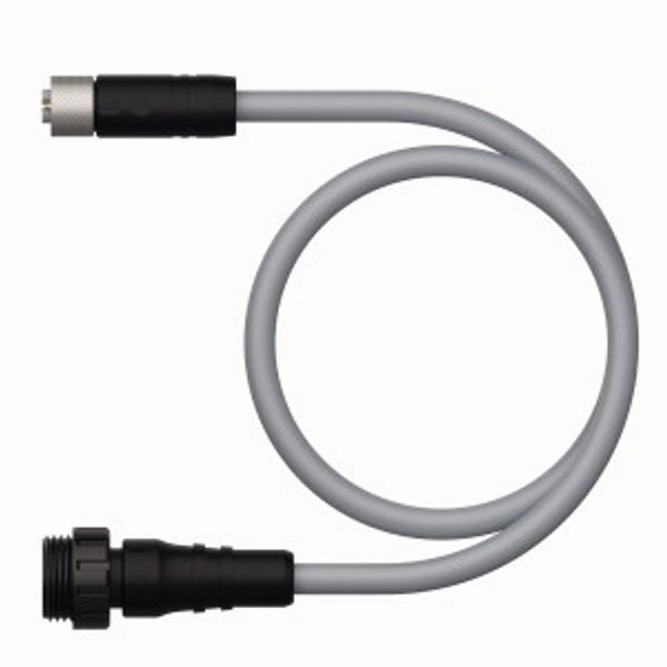 Supply Cable - M12 Power Extension Cable   RKP56PLB-0.3-RSM50.2/TXG image 2