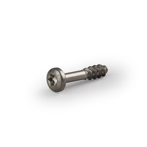 DLS3 | Cover screw TORX TX20, 3 x 18/10 mm image 1