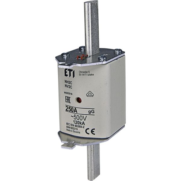 Fuse link, NH2C gG 100A/400V image 1