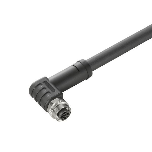 Power cable, One end without connector, M12, Number of poles : 3 (2 + PE), 3 m, Socket, angled, Shielded: No, LED: No, Sheath material: PUR, Halogen: No image 3