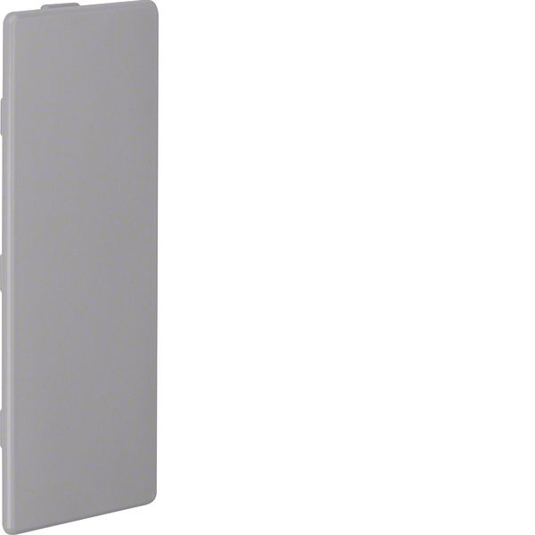 End cap,LKG50125,grey image 1