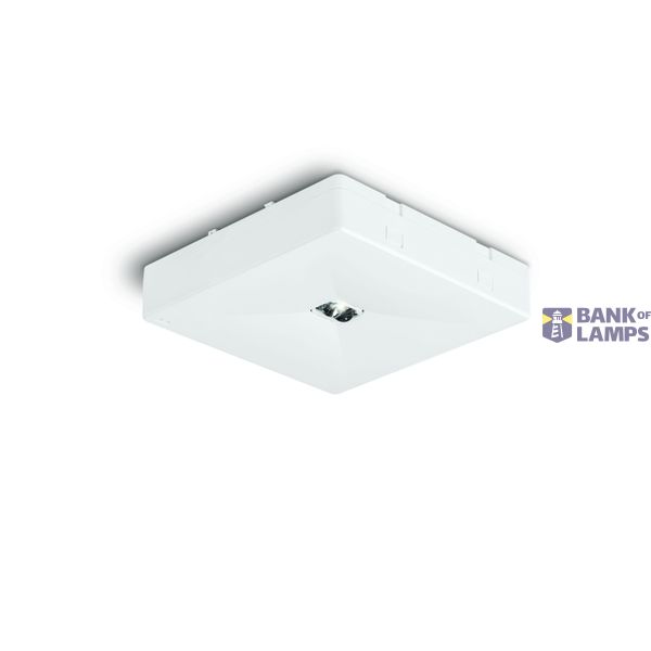 OntecRM2102MAT/W Emergency lighting LED image 1