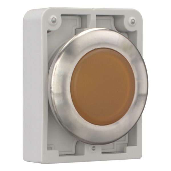 M30I-FL-A Indicator light, RMQ-Titan, flat, orange, Front ring stainless steel image 7