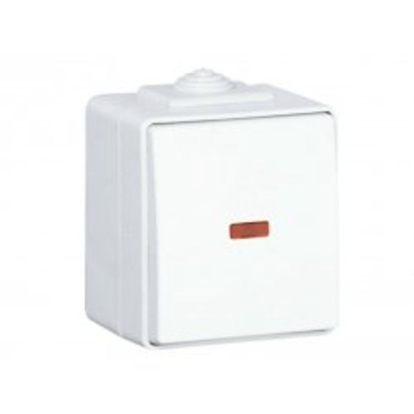 ROCKER PUSH-BUTTON W/ORIENT LIGHT 12V WHITE image 1