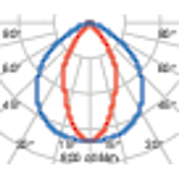 GUELL 2 145 S/W 840 GR94 image 5