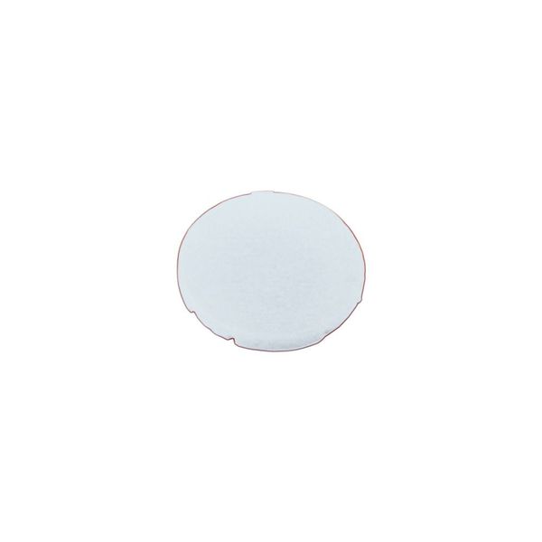 M22-XD-W Button plate, flat white, blank image 3