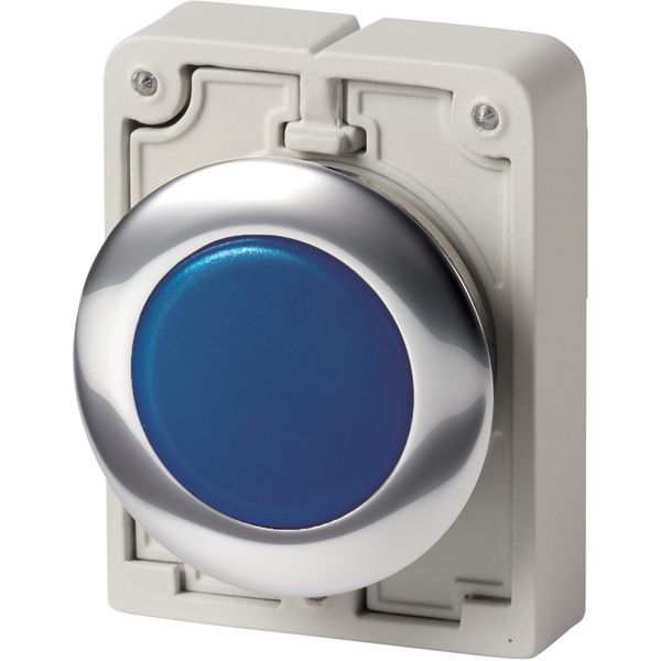 M30C-FL-B Indicator light, RMQ-Titan, Flat, Blue, Metal bezel image 7