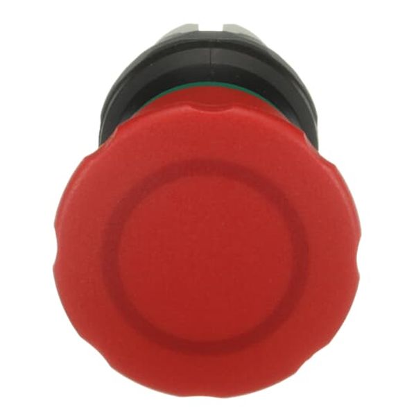 MD01 image 2