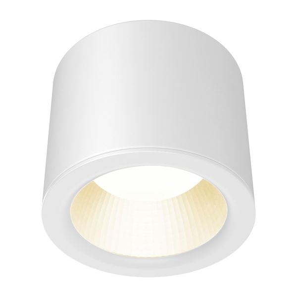 Salino LED 170 19W 2050lm 4000K IP44 IK06 white image 1