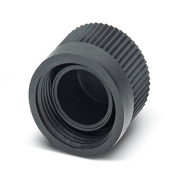 PROT-MINFS-PA - Sealing cap image 1