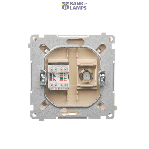 Double intermediate switch, 10AX, champagne matt image 1