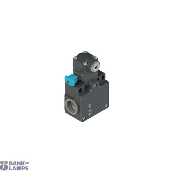 Position switch for rotating levers with reset device image 1