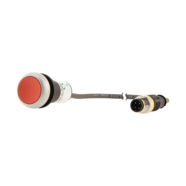 C22-D-R-K01-P1 Pushbutton, Flat, momentary, 1 NC, Cable (black) with M12A plug, 4 pole, 0.2 m, red, Blank, Bezel: titanium image 12