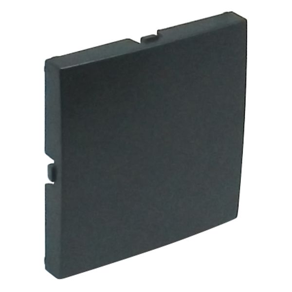 BLIND COVER PLATE GRAY image 1