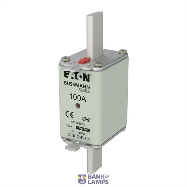 Fuse-link, LV, 100 A, 800 V AC, NH1, Class gG/gL image 3