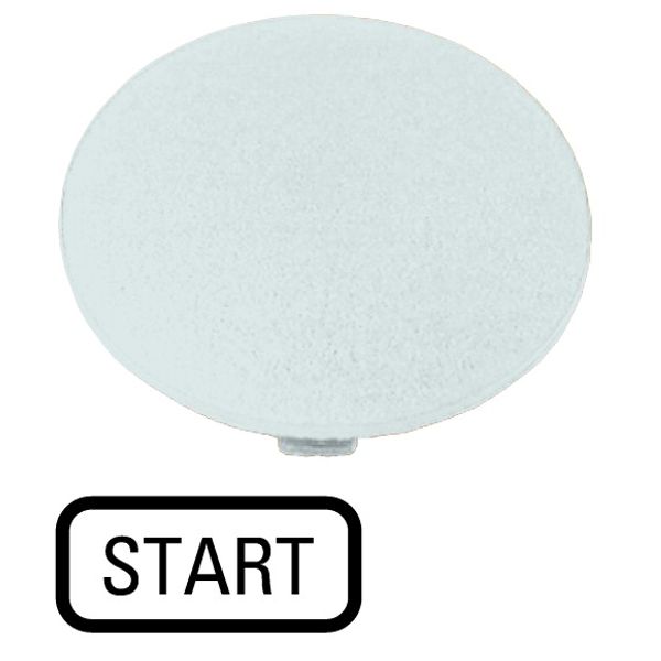 M22-XDP-W-GB1 Button plate, mushroom black, START image 1