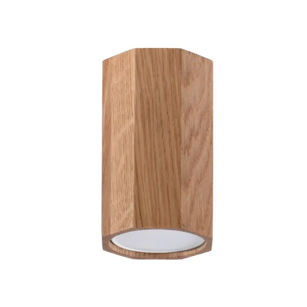 SPOT ZEKE 10 OAK GU10 1X40W IP20 image 1