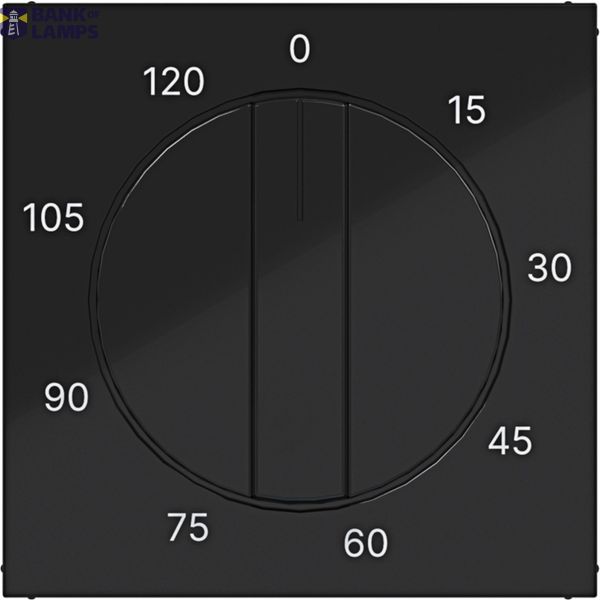 Central pl mechanical time switch 0-120 min., A.x/C.x, black glass. image 1