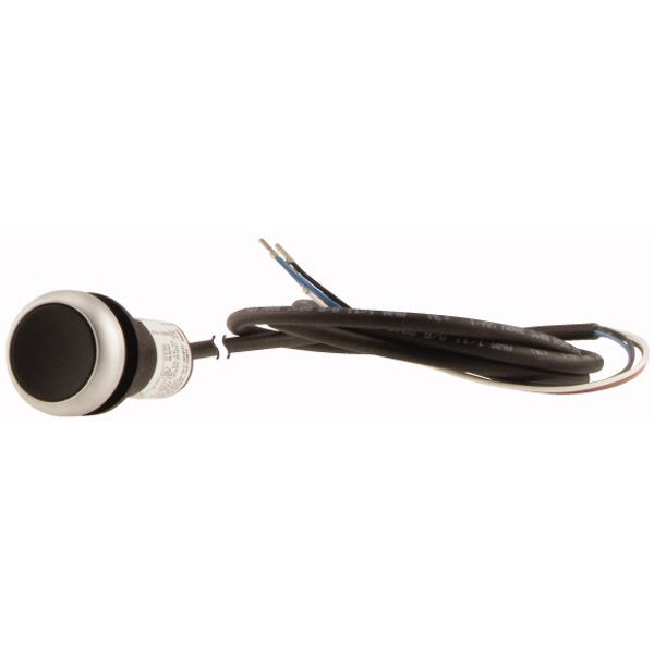 C22-D-S-K01-P62 Pushbutton, Flat, momentary, 1 NC, Cable (black) with non-terminated end, 4 pole, 1 m, black, Blank, Bezel: titanium image 3
