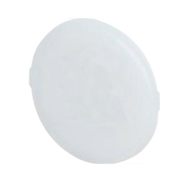 Diffuser for pilot light image 1