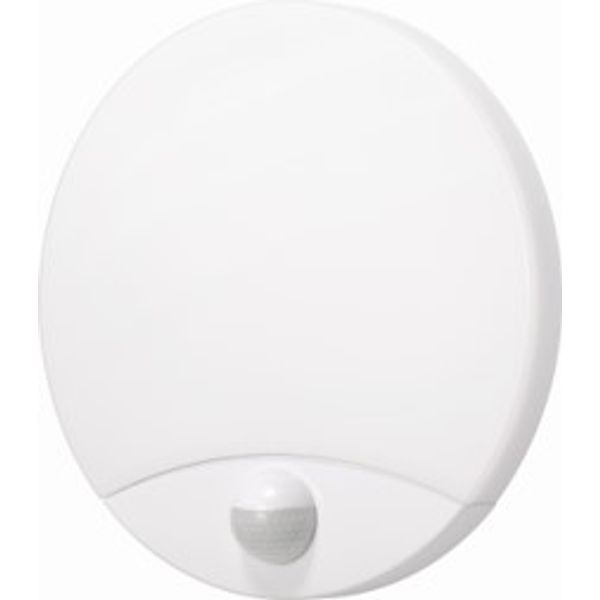Fichero: 0767971.jpg image 1