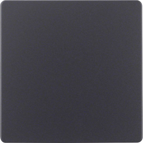 Central plate for sensor insert, KNX, ant., matt image 1