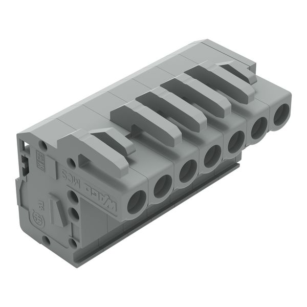 1-conductor female connector, angled CAGE CLAMP® 2.5 mm² gray image 1