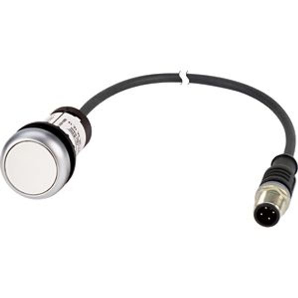 C22-D-W-K10-P3 Pushbutton, Flat, momentary, 1 N/O, Cable (black) with M12A plug, 4 pole, 0.5 m, White, Blank, Bezel: titanium image 5