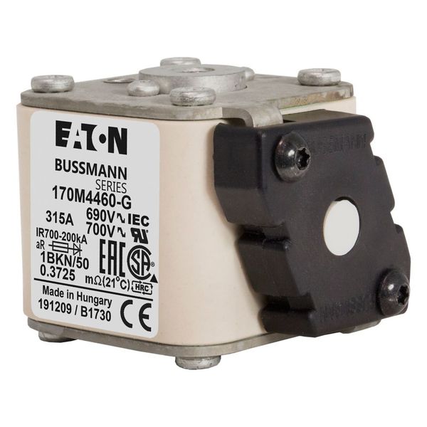 170M4460-G 315A 690V 1BKN/50 AR UC + MICROSWITCH image 20
