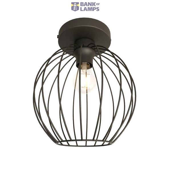 1371/1 NEST 1 BL image 1