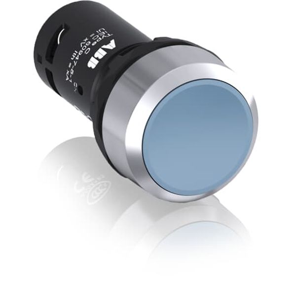 BUTTON CP1-30L-02 image 1