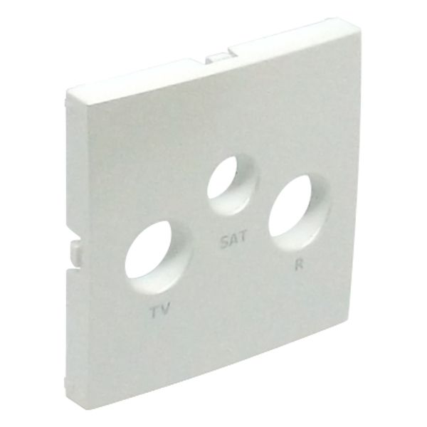 COVER PLATE FOR R-TV-SAT SOCKETS ICE image 1