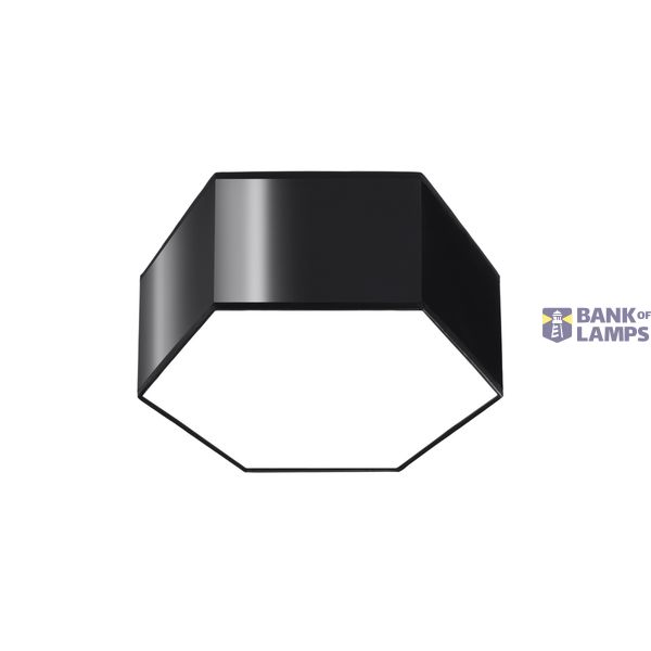 CEILING LAMP SUNDE 13 BLACK E27 2X60W IP20 image 2