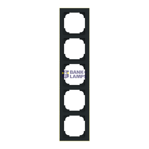 1725-453M-500 Cover  with decor ring, 5gang black matt gold image 1
