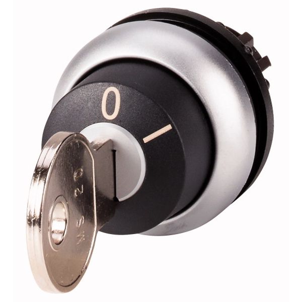 M22-WRS-MS20 Key-operated actuator, maintained, 2 positions, MS20, Key withdrawable: 0, I, Bezel: titanium image 1