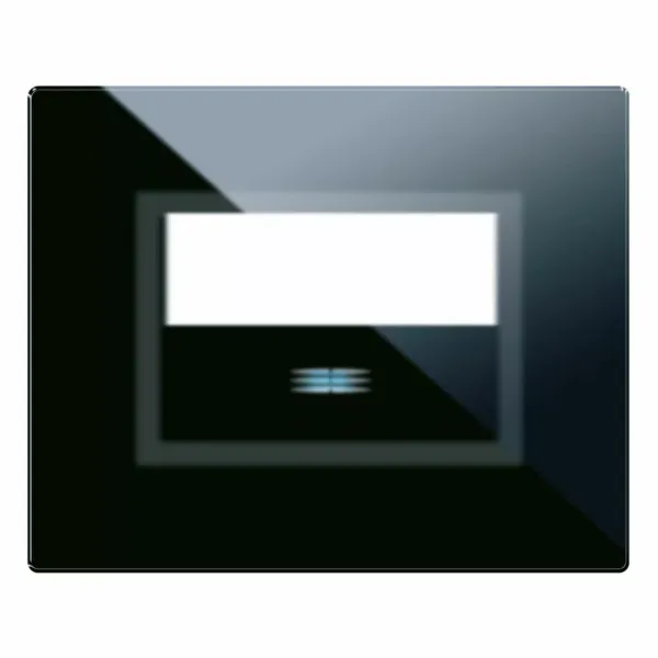 VERATOUCH FR.PLATE W/NAME TAG BLACK image 1