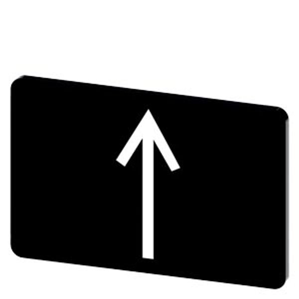 Labeling plate 17.5x27 mm, black label, icon: Arrow pointing up image 1