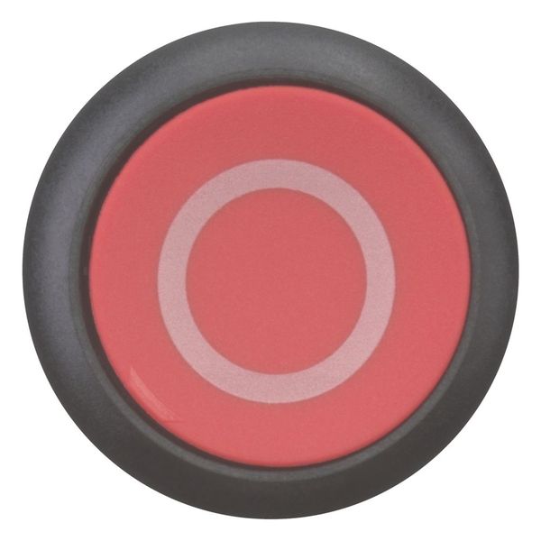 M22S-D-R-X0 Pushbutton, RMQ-Titan, Flat, momentary, red, inscribed, Bezel: black image 10