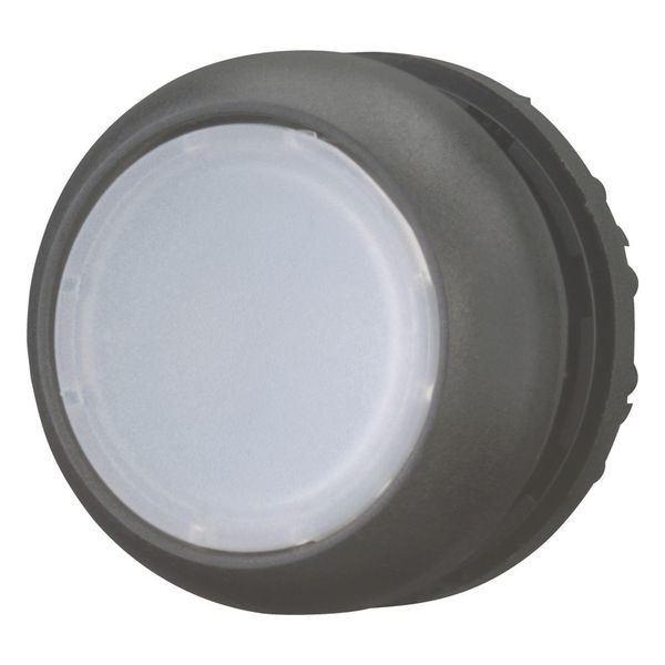 M22S-DL-W Illuminated pushbutton actuator, RMQ-Titan, Flush, momentary, White, Blank, Bezel: black image 6