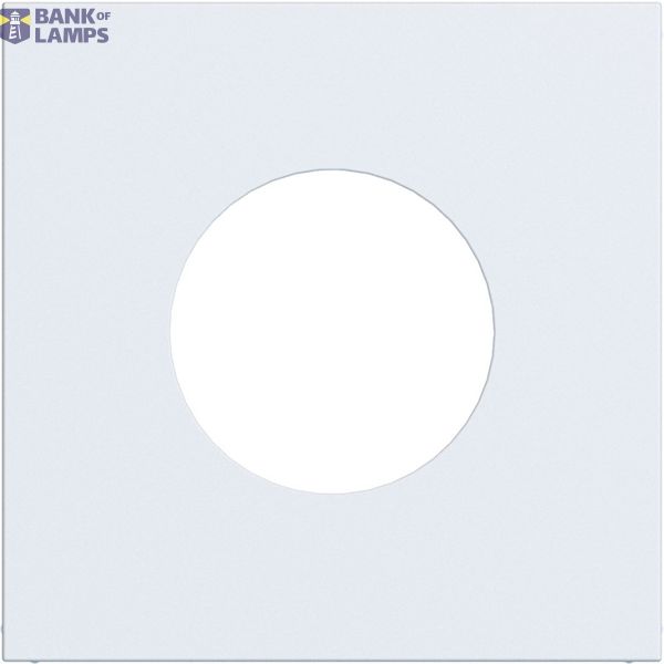 Central plate for push button/light signal E10, A.x/C.x, matte light white image 1