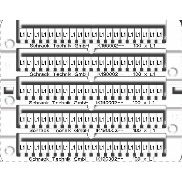 Marking tags 100x 'L1' image 1