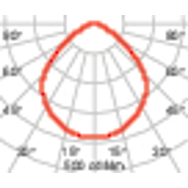 DL ROUND MIDI12 C/EW 930 WIT+WIELAND image 4