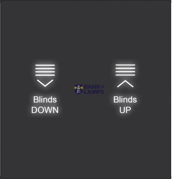 KNX pushbutton cover, 1-position, with backlight, A.x/C.x, matte black image 1