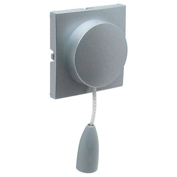 C.PLAT F/PULL-CORD PUSH-BUT/TWO-WAY SWITCH AL image 2