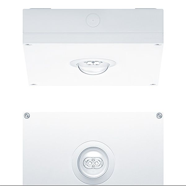 RESCLITE PRO MSC SPOT HP ECD WH IP65 - Safety luminaire image 1