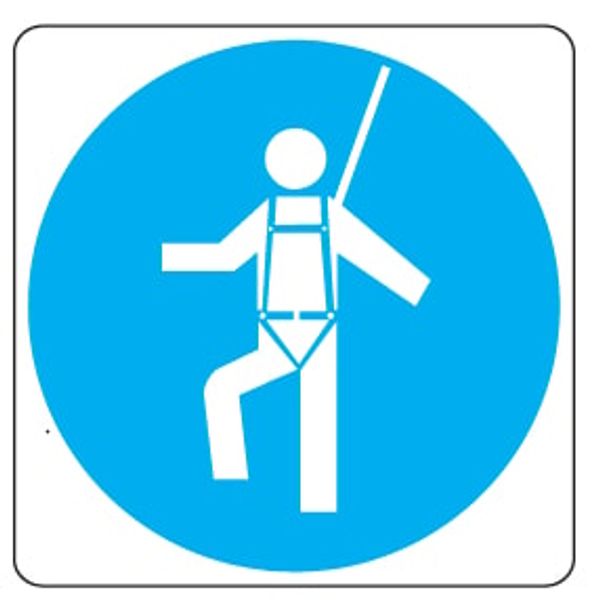 Mandatory sign - Al - Side: 500 mm image 1