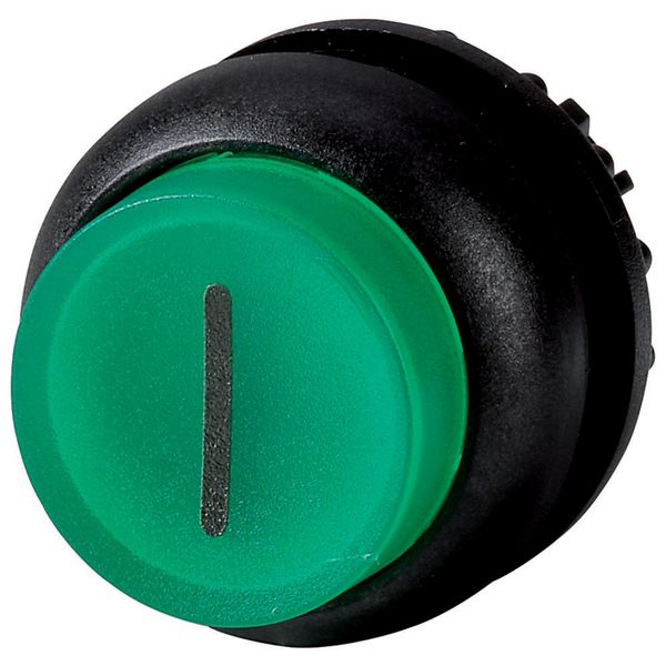 M22S-DRLH-G-X1 Illuminated pushbutton actuator, RMQ-Titan, Extended, maintained, green, inscribed, Bezel: black image 2