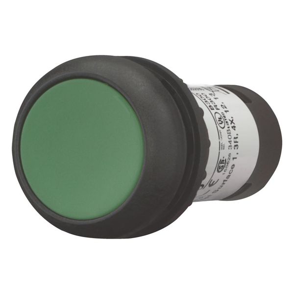 Pushbutton, Flat, maintained, 1 NC, 1 N/O, Screw connection, green, Blank, Bezel: black image 11