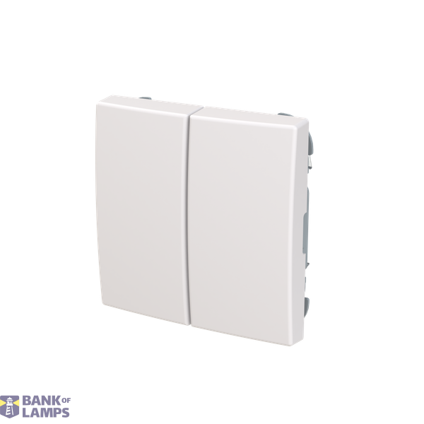 5-switch rockers, blank image 2