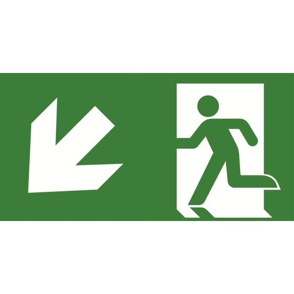 BLPISOP-2240E54 PrimEvo pictogram 45 arrow down L image 2